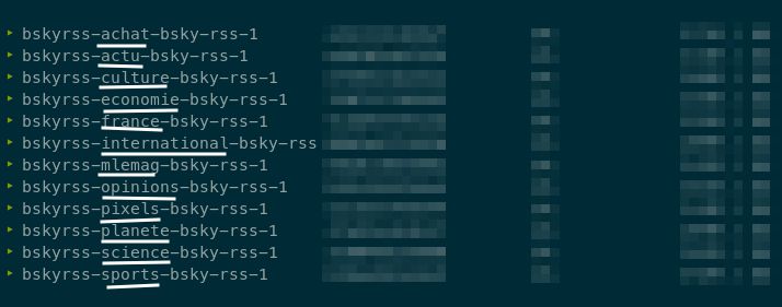 Vue des 12 conteneurs qui font tourner le bot sur bluesky